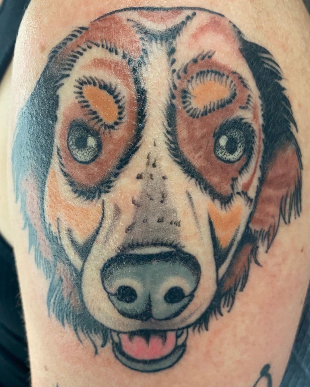 A close-up of a colourful dog portrait tattoo on a client's arm, showing warm brown, orange, teal, and black pigments, before laser tattoo removal at Studio Kiku in Vaughan, Ontario