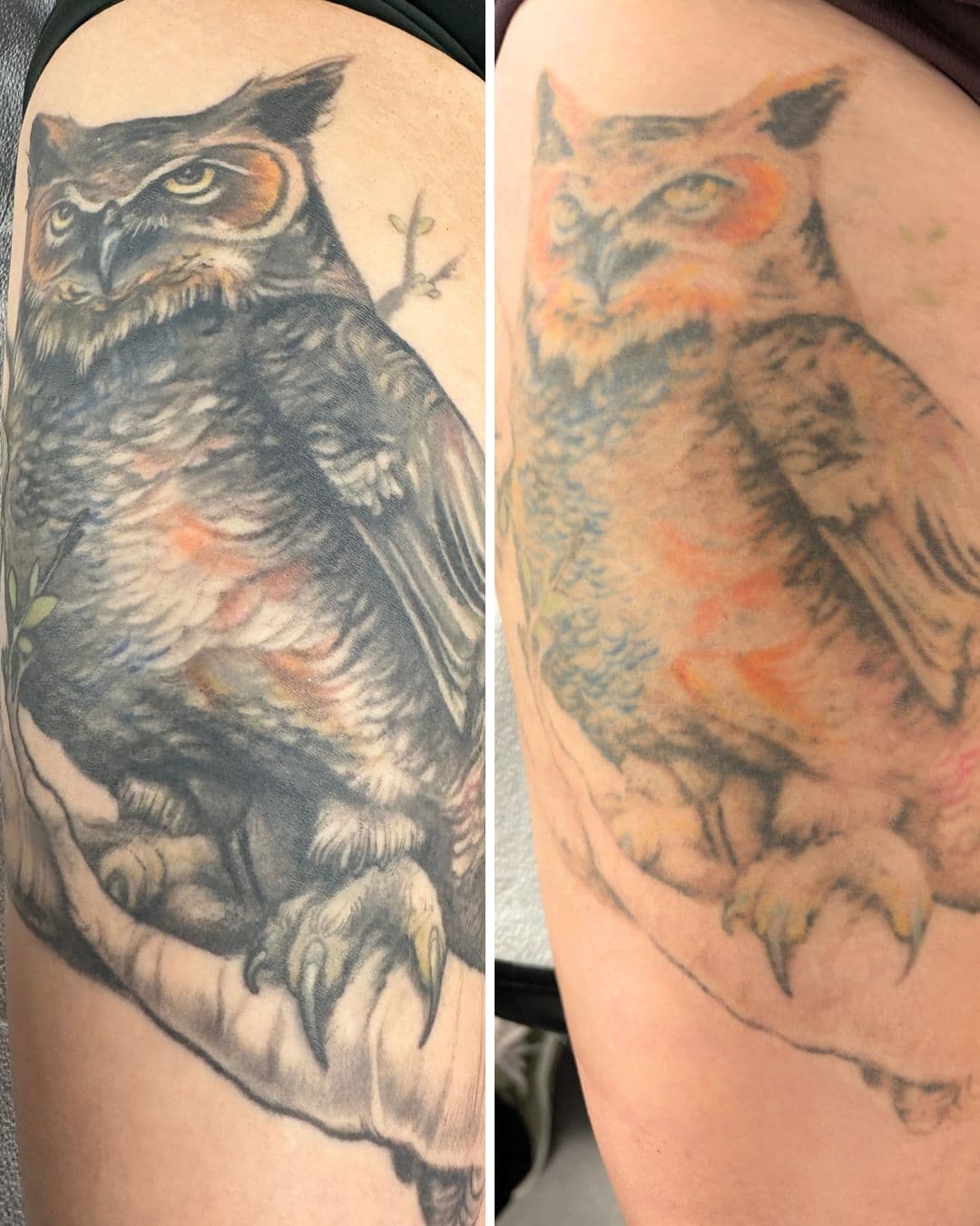 Before-and-after side-by-side of a detailed colour owl tattoo on a thigh - the original shows rich black, dark brown, orange, amber, and green pigments; after three laser sessions the dark elements have dramatically faded while the warm orange tones remain prominent